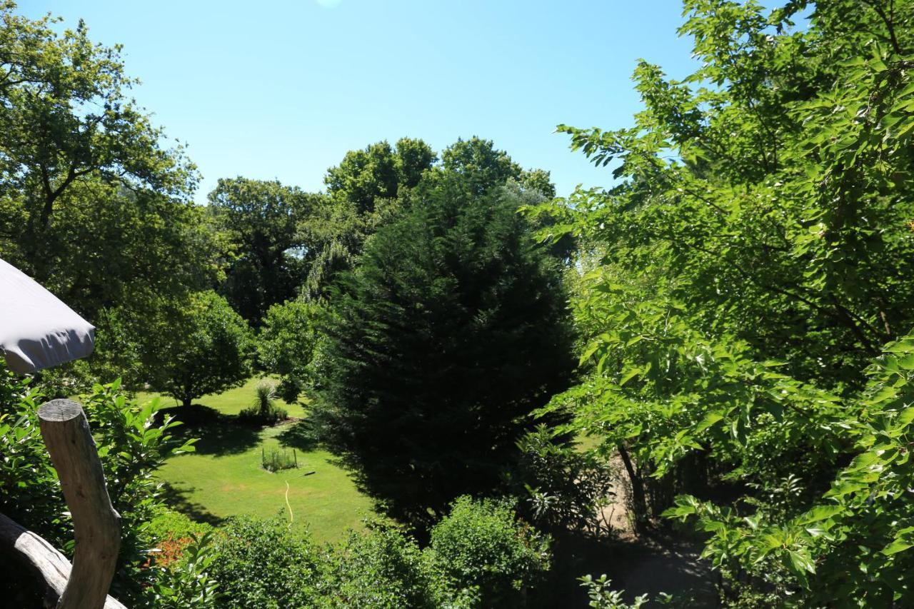 Le Pavillon Vert - B&B Vedene Exterior photo